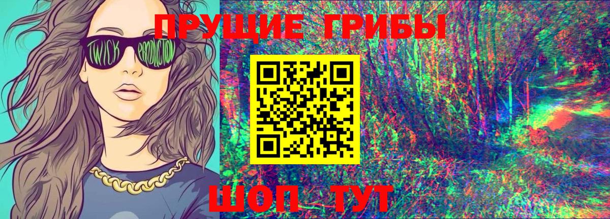 Галлюциногенные грибы MAGIC MUSHROOMS  Вход с VPN  Рославль  цены наркотик  Галлюциногенные грибы Psilocybine cubensis 